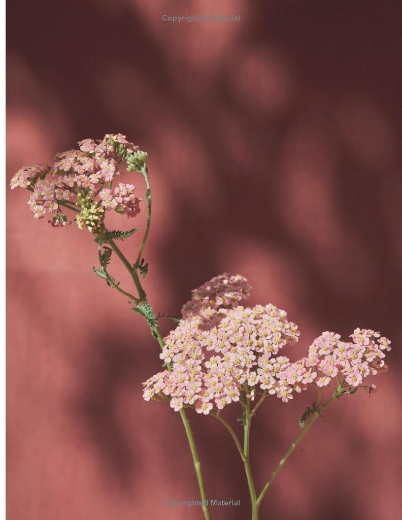 The Artistry of Flowers: Floral Design by La Musa de las Flores