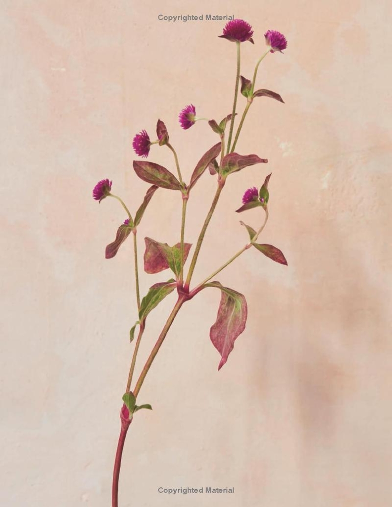 The Artistry of Flowers: Floral Design by La Musa de las Flores