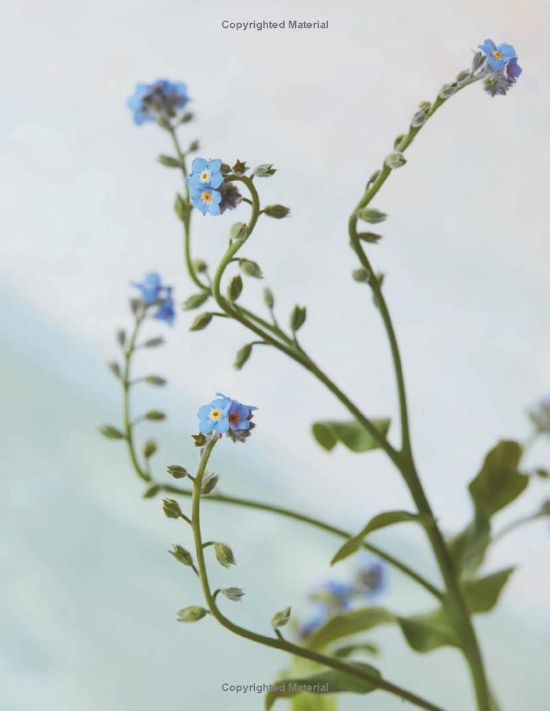 The Artistry of Flowers: Floral Design by La Musa de las Flores