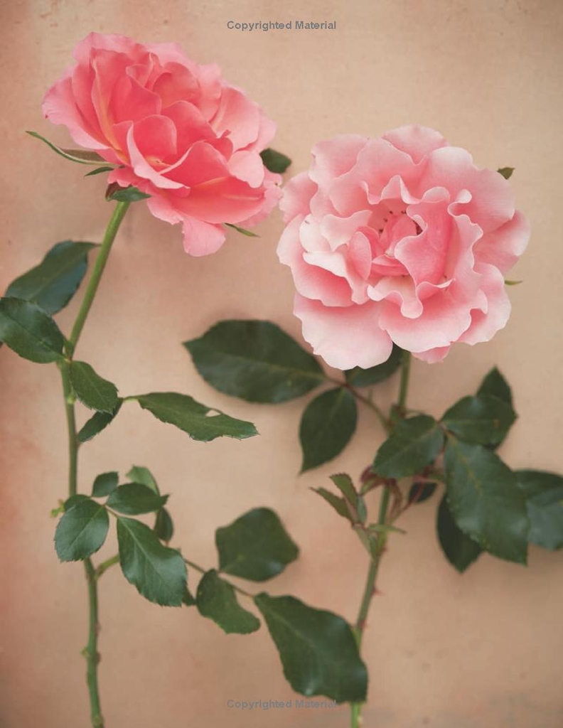 The Artistry of Flowers: Floral Design by La Musa de las Flores