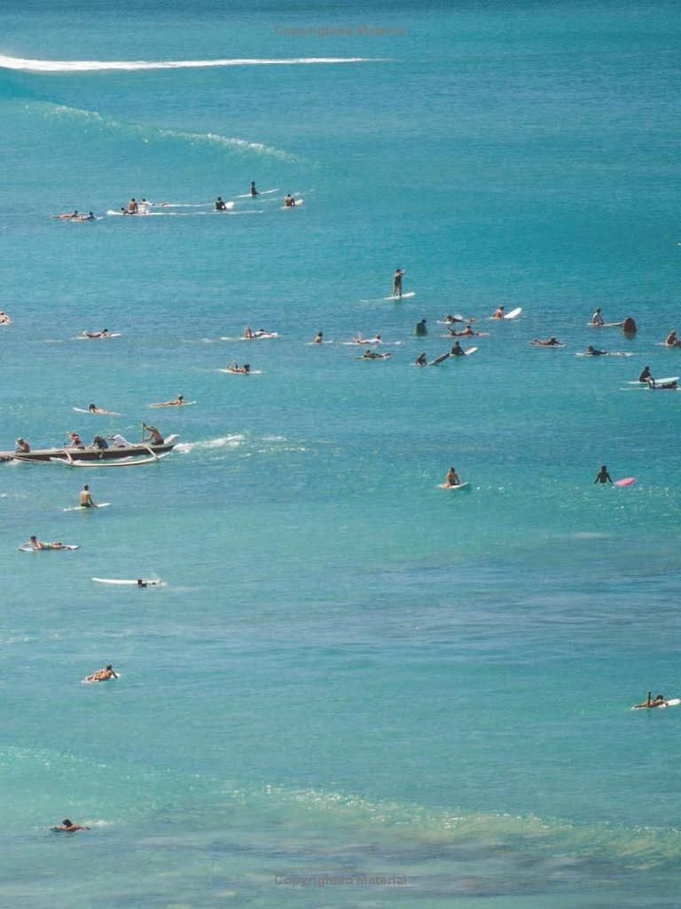 Carissa Moore: Hawaii Gold: A Celebration of Surfing