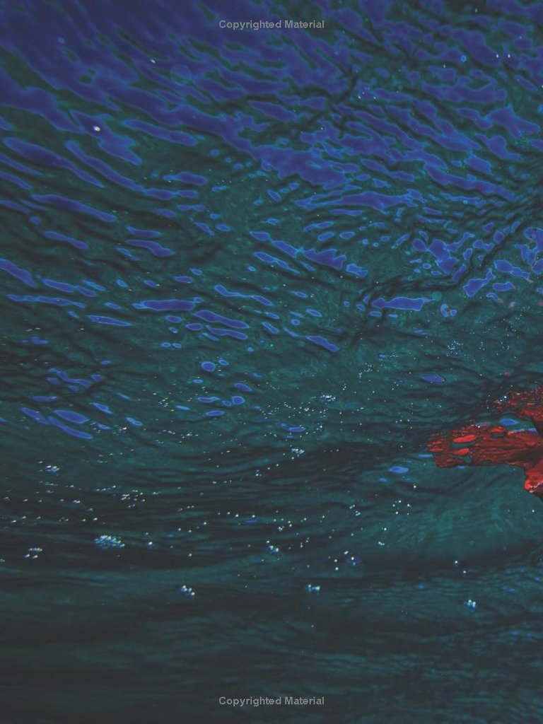 Carissa Moore: Hawaii Gold: A Celebration of Surfing