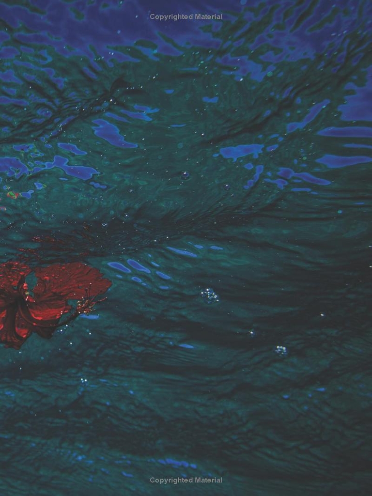 Carissa Moore: Hawaii Gold: A Celebration of Surfing