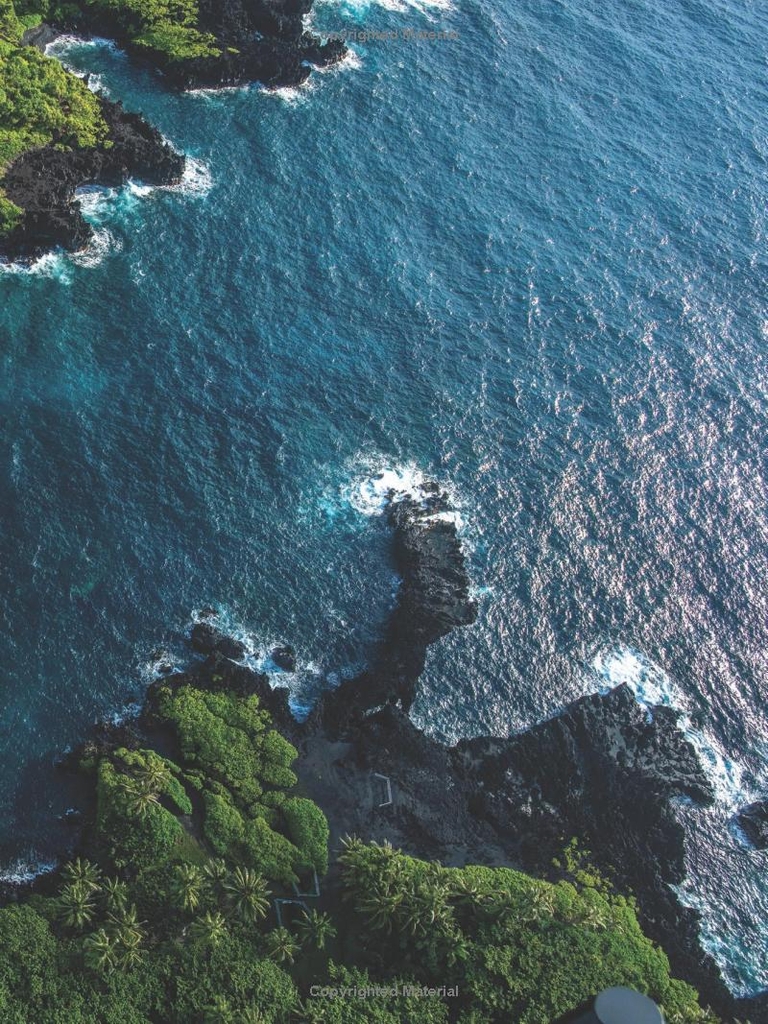 Carissa Moore: Hawaii Gold: A Celebration of Surfing