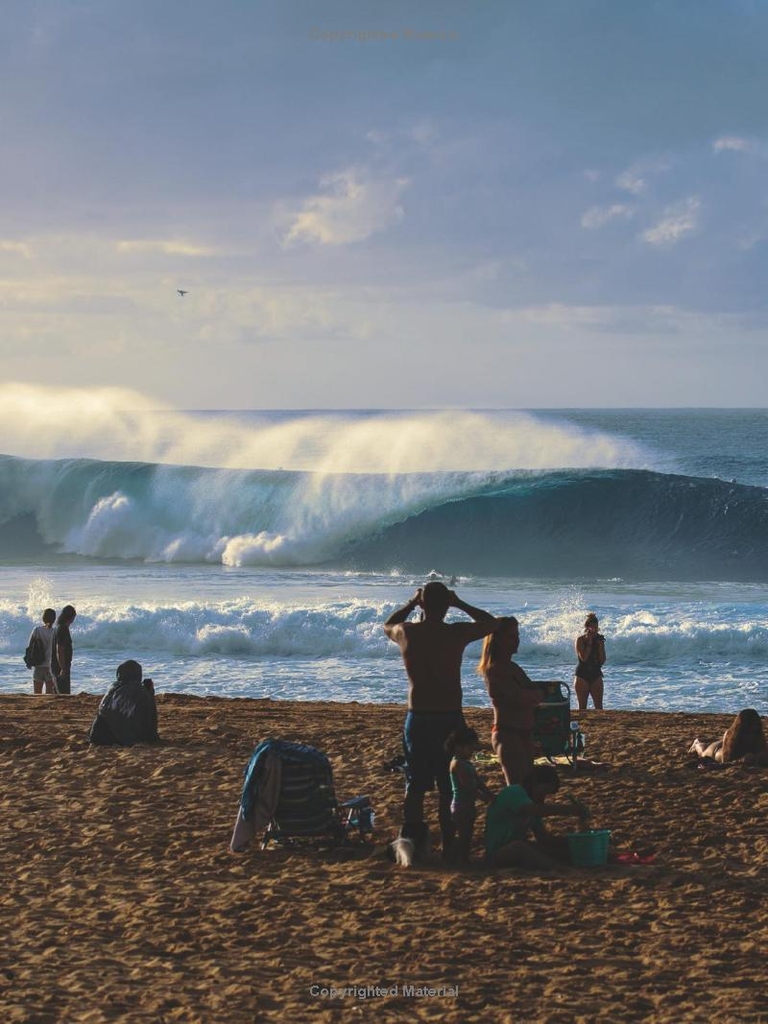 Carissa Moore: Hawaii Gold: A Celebration of Surfing