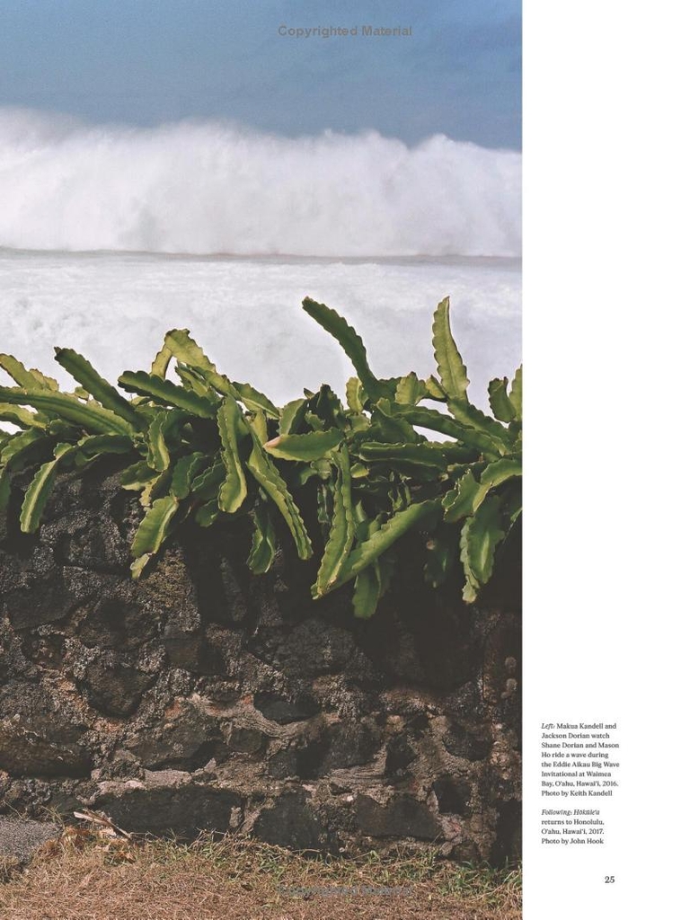 Carissa Moore: Hawaii Gold: A Celebration of Surfing