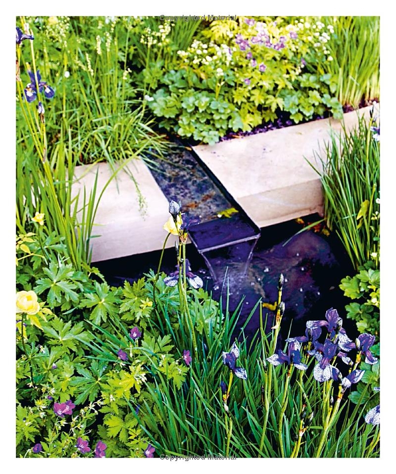 How to Create Your Garden: Ideas and Advice for Transforming Your Outdoor Space