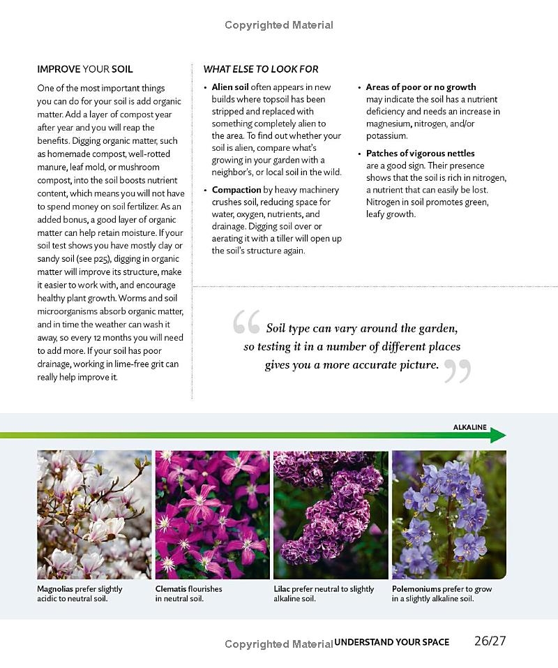 How to Create Your Garden: Ideas and Advice for Transforming Your Outdoor Space