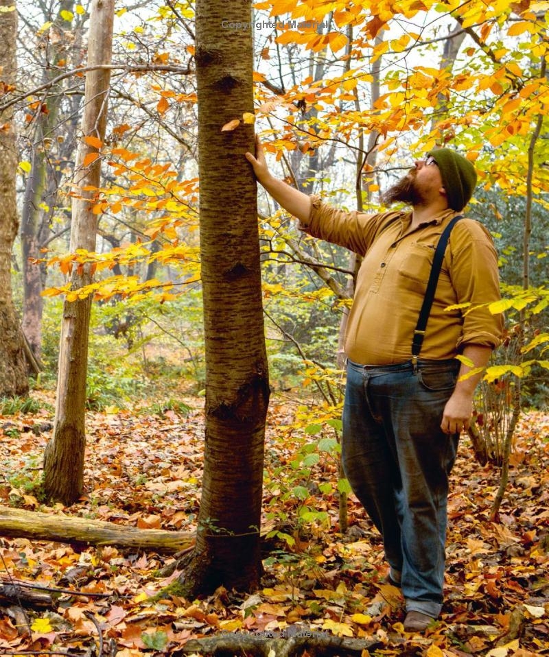 Woodcraft: Master the Art of Green Woodworking with Key Techniques and Inspiring Projects