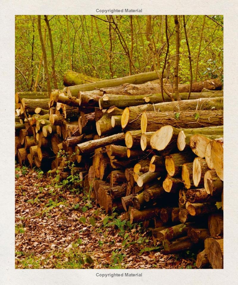 Woodcraft: Master the Art of Green Woodworking with Key Techniques and Inspiring Projects