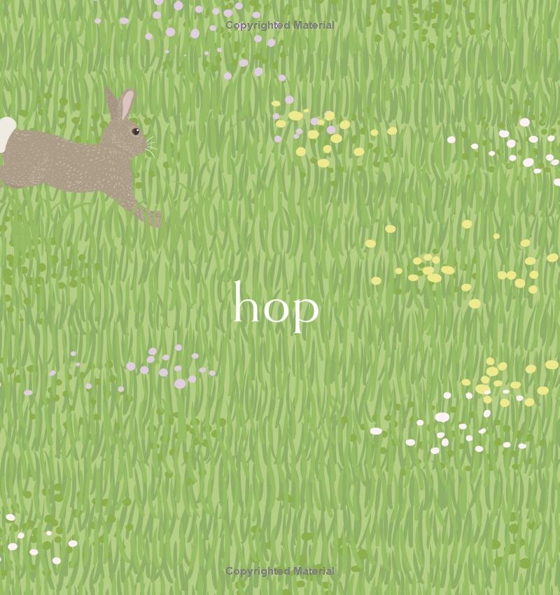 Hop