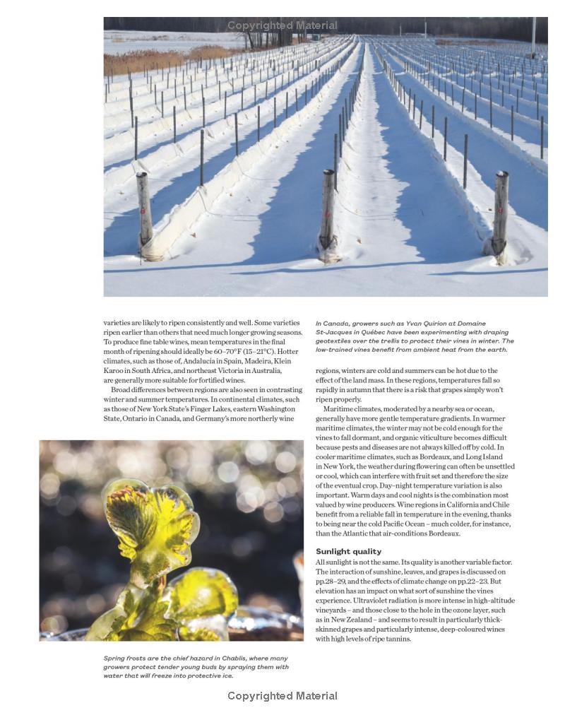 World Atlas of Wine 8th Edition