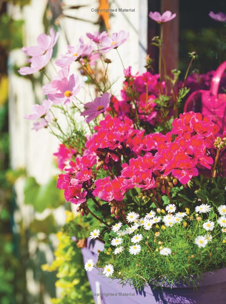 RHS Little Book of Small-Space Gardening