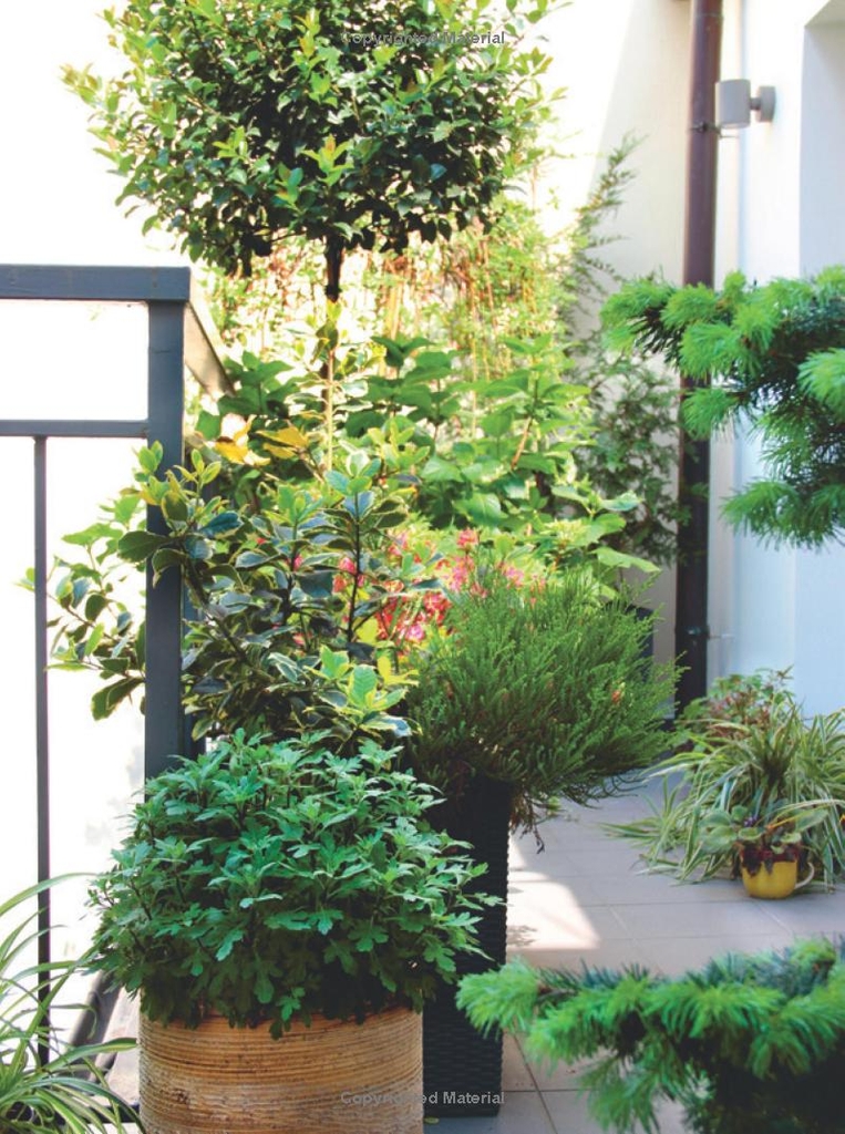 RHS Little Book of Small-Space Gardening