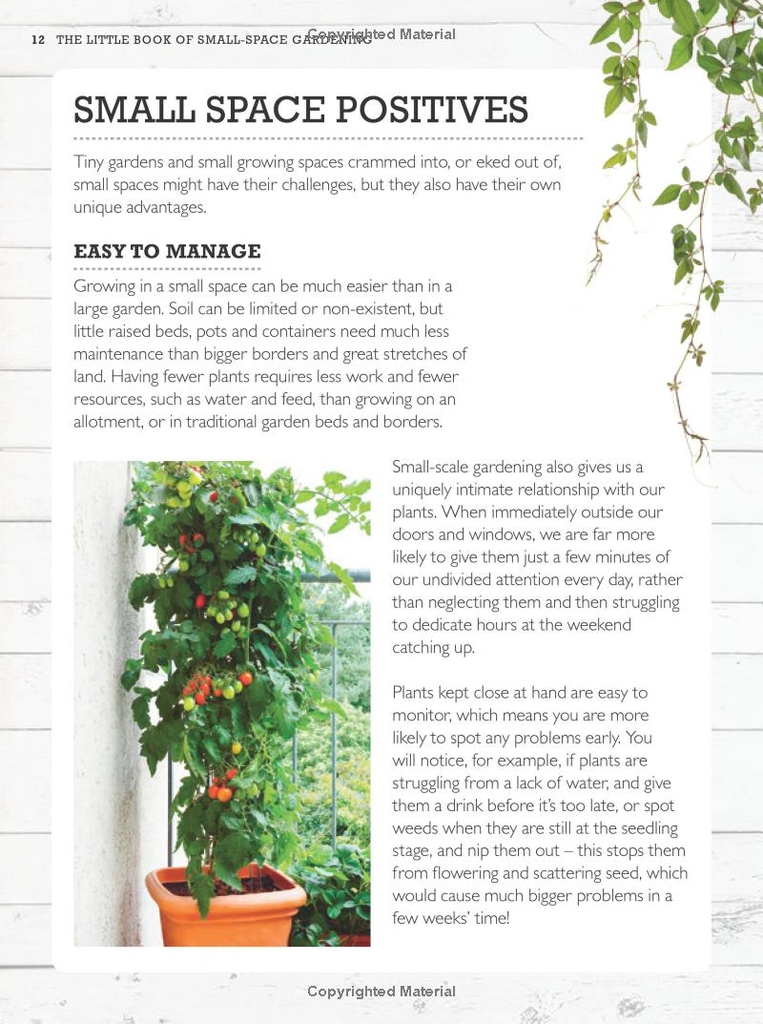 RHS Little Book of Small-Space Gardening