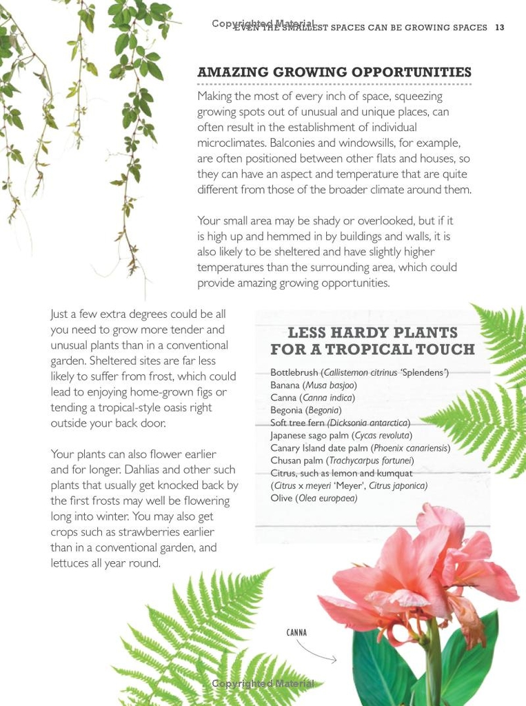 RHS Little Book of Small-Space Gardening