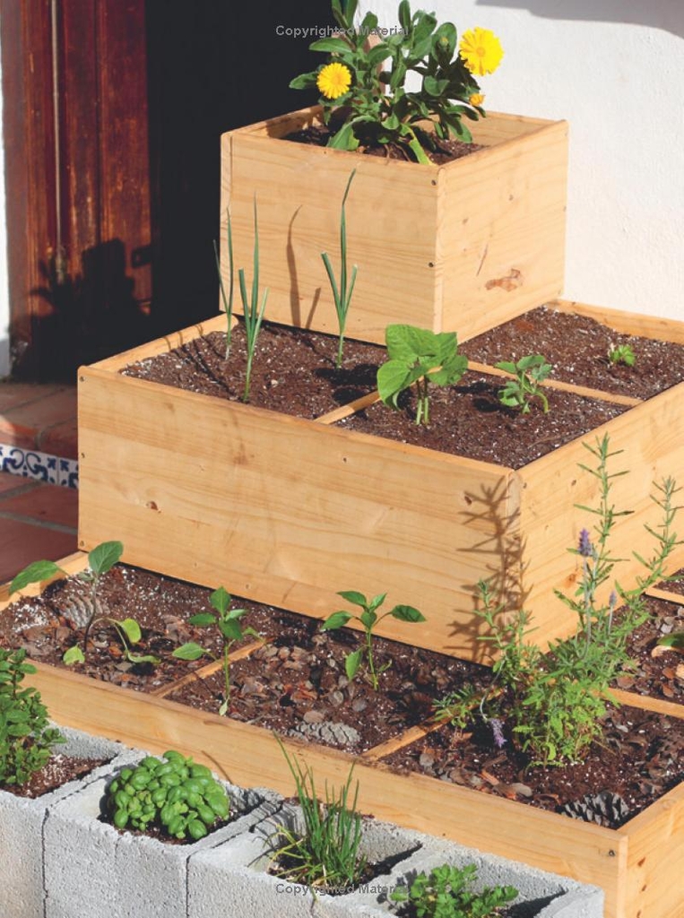 RHS Little Book of Small-Space Gardening