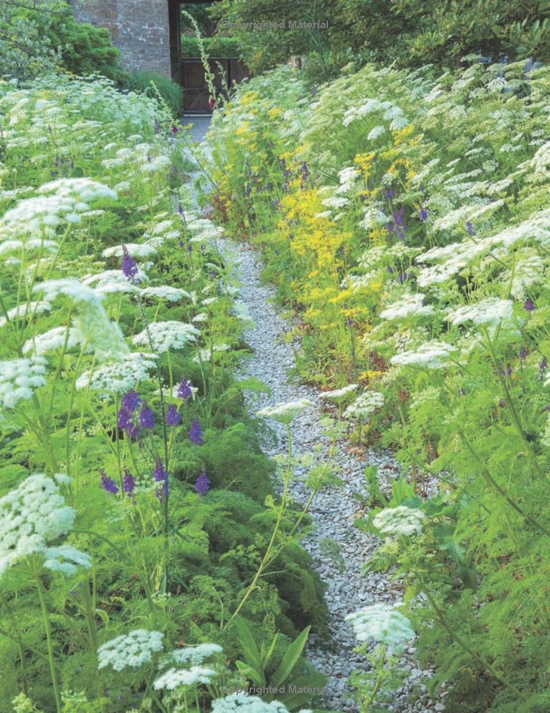 RHS How to Plant a Garden