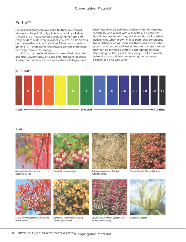 RHS How to Plant a Garden