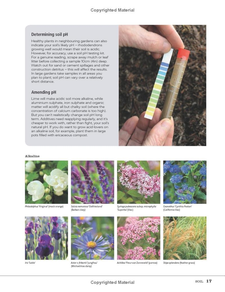 RHS How to Plant a Garden