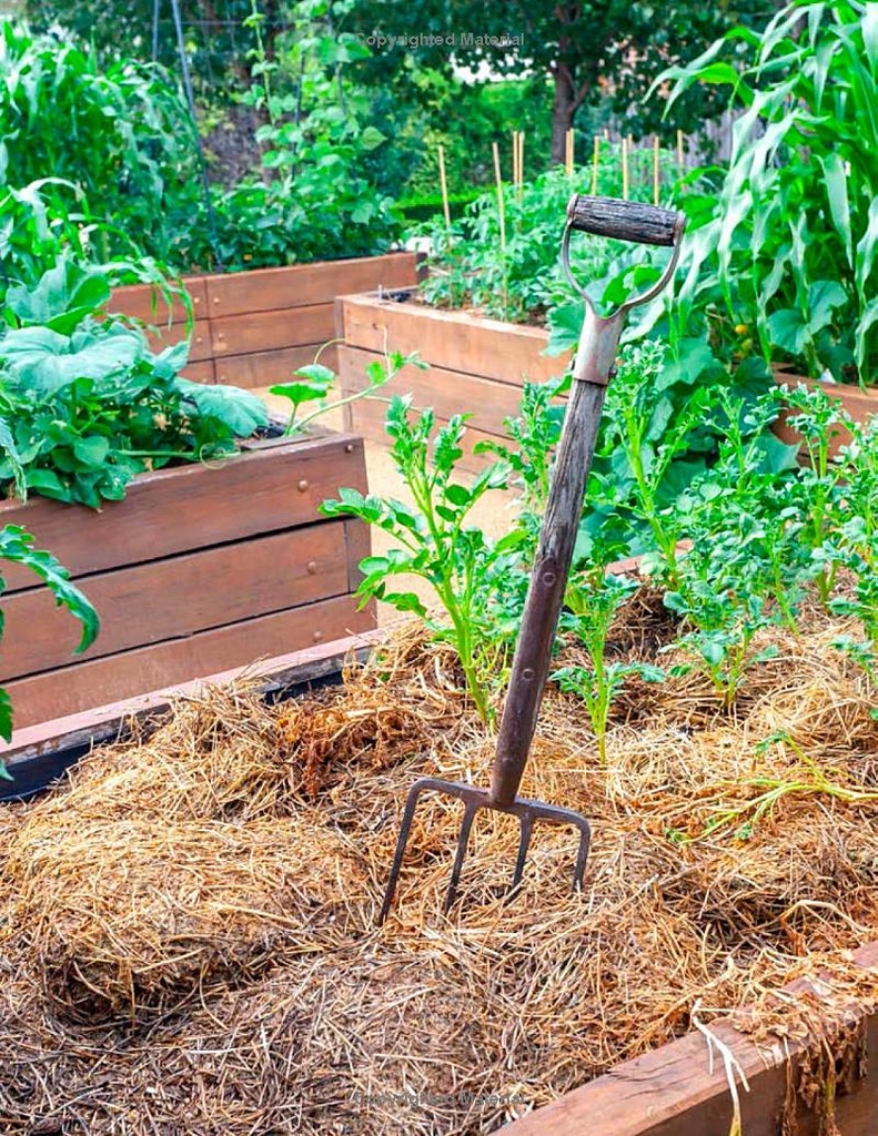 RHS Gardening School