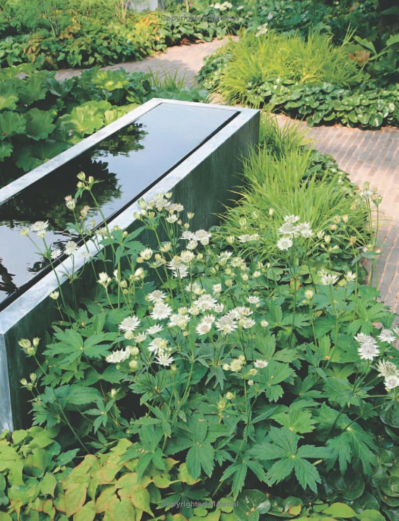 RHS Small Garden Handbook