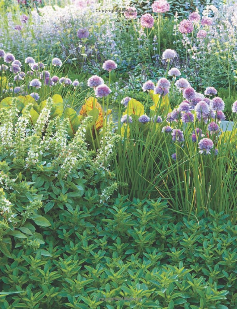 RHS Small Garden Handbook