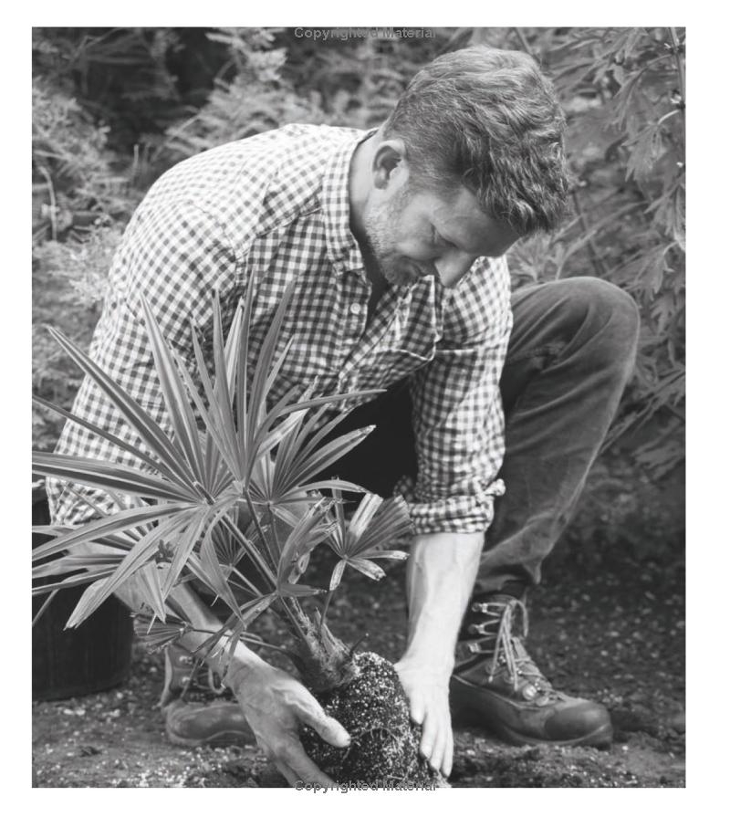 365 Days of Colour In Your Garden