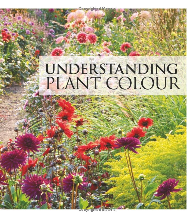 365 Days of Colour In Your Garden