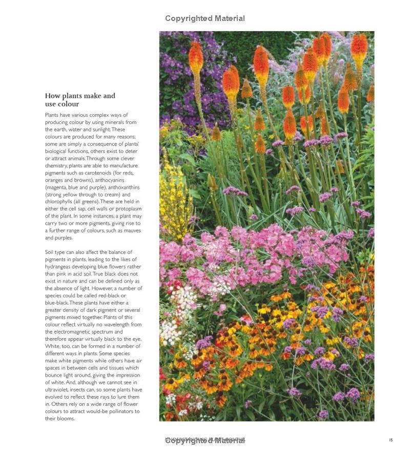 365 Days of Colour In Your Garden