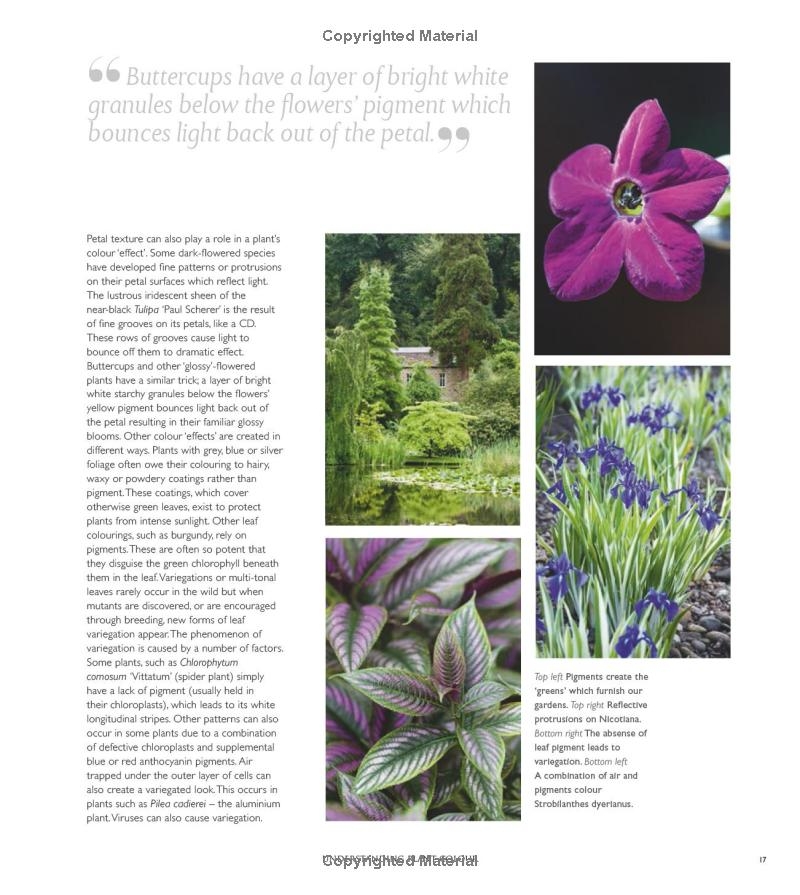 365 Days of Colour In Your Garden