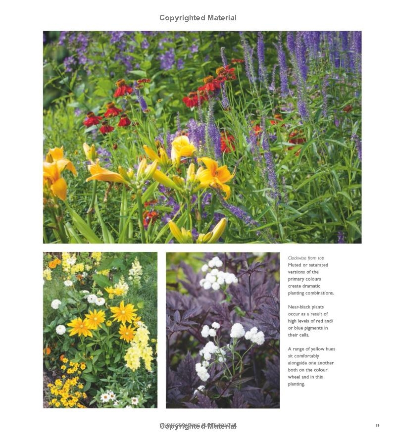 365 Days of Colour In Your Garden