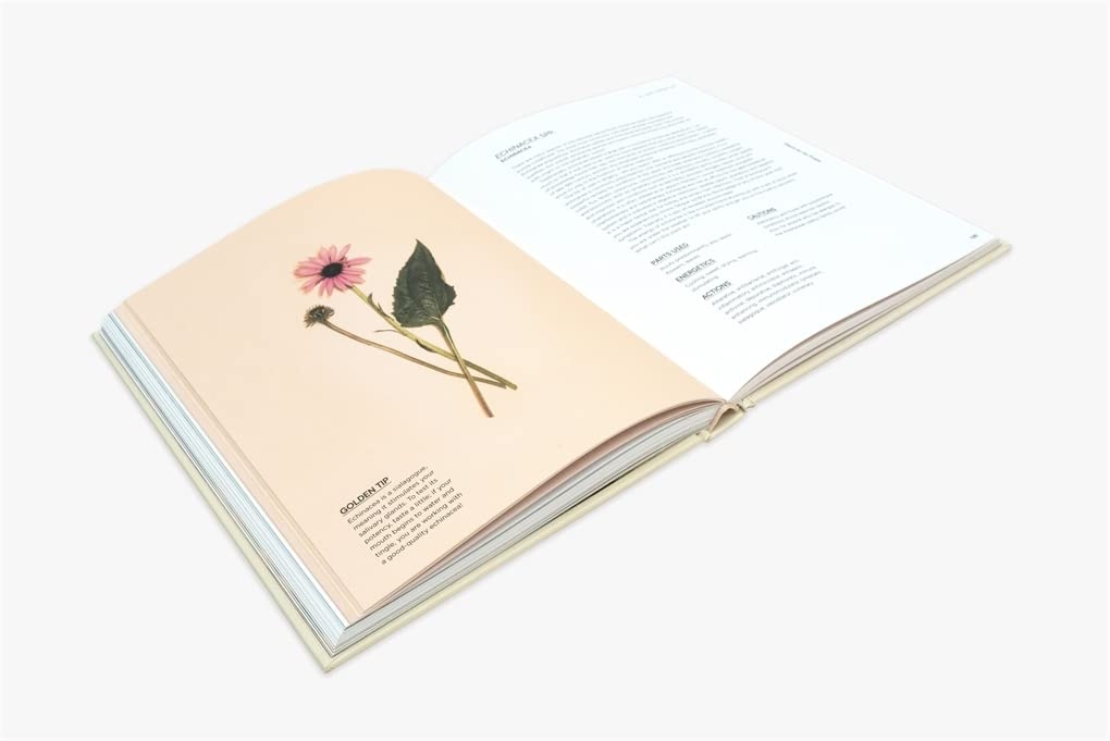 Plants for the people: a modern guide to plant medicine