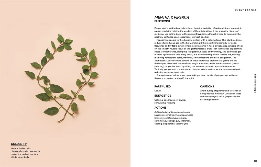 Plants for the people: a modern guide to plant medicine