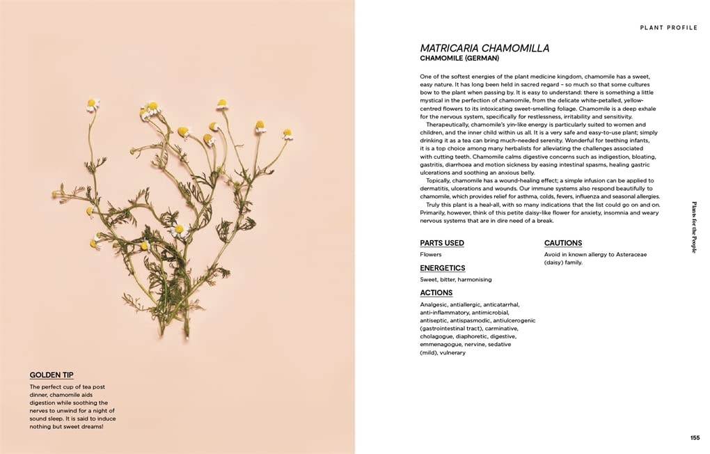 Plants for the people: a modern guide to plant medicine