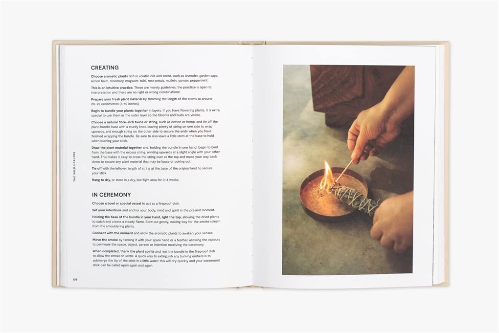 Plants for the people: a modern guide to plant medicine