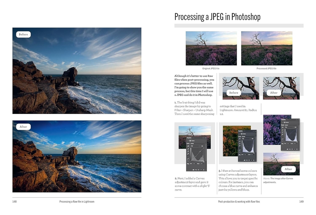 The School of Photography: Beginner's Guide