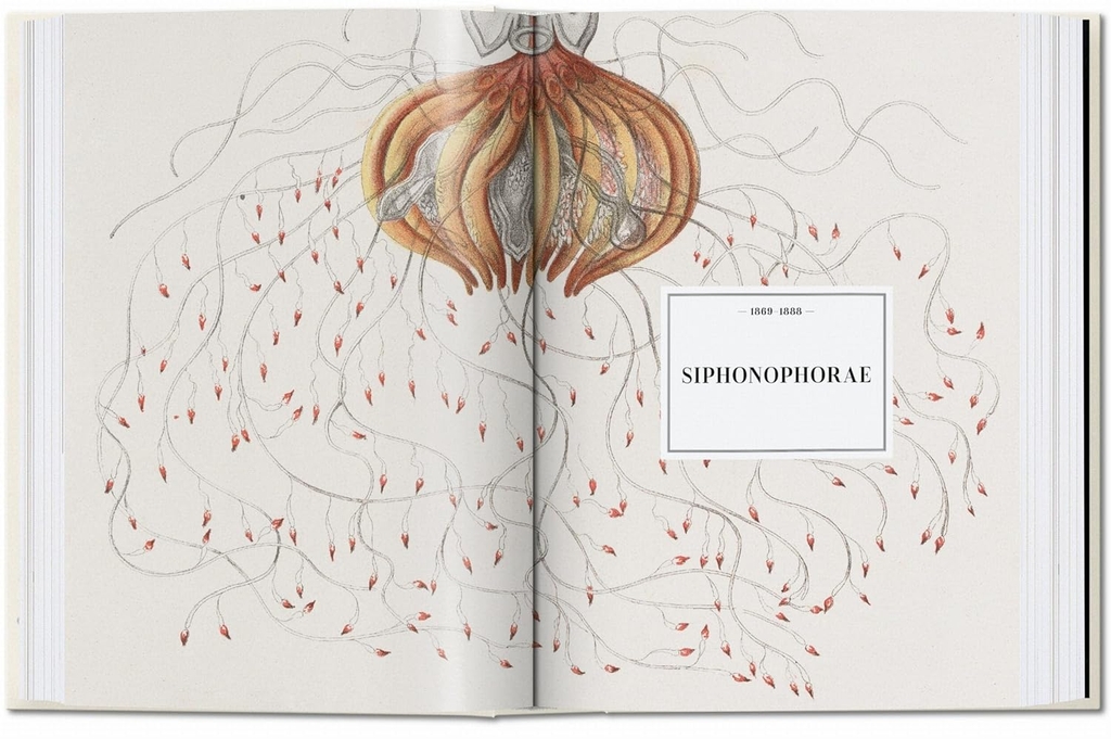 The Art and Science of Ernst Haeckel. 40th Ed.