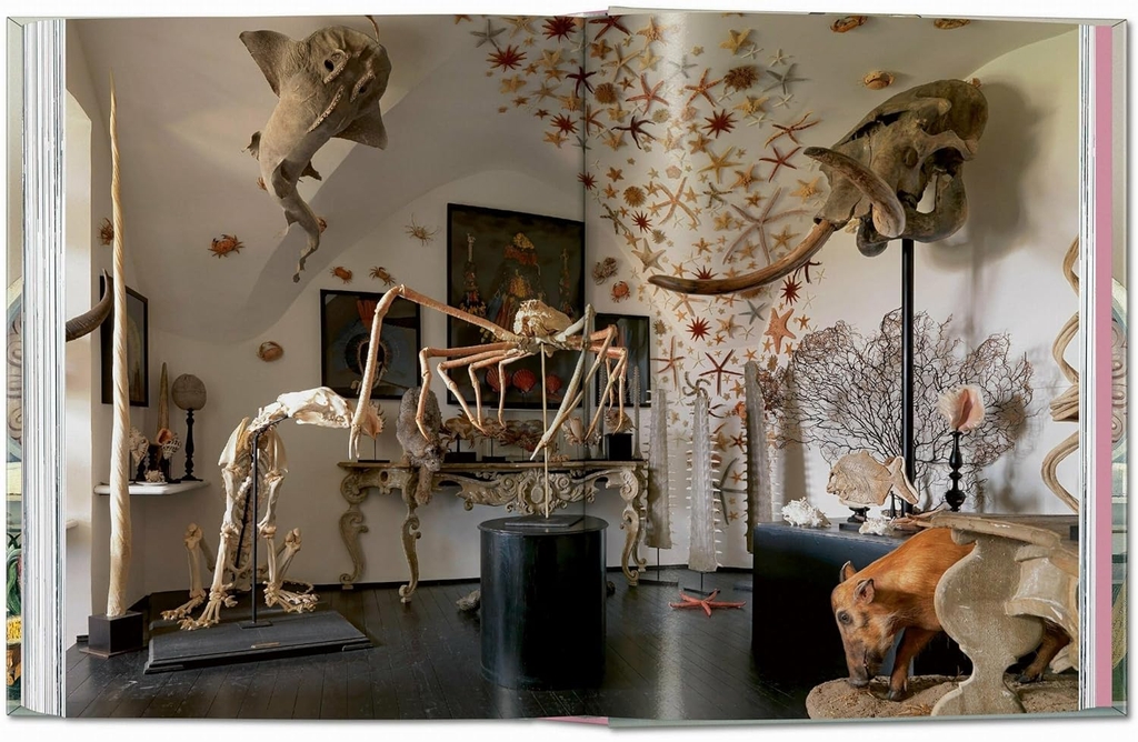 Massimo Listri. Cabinet of Curiosities. 40th Ed.