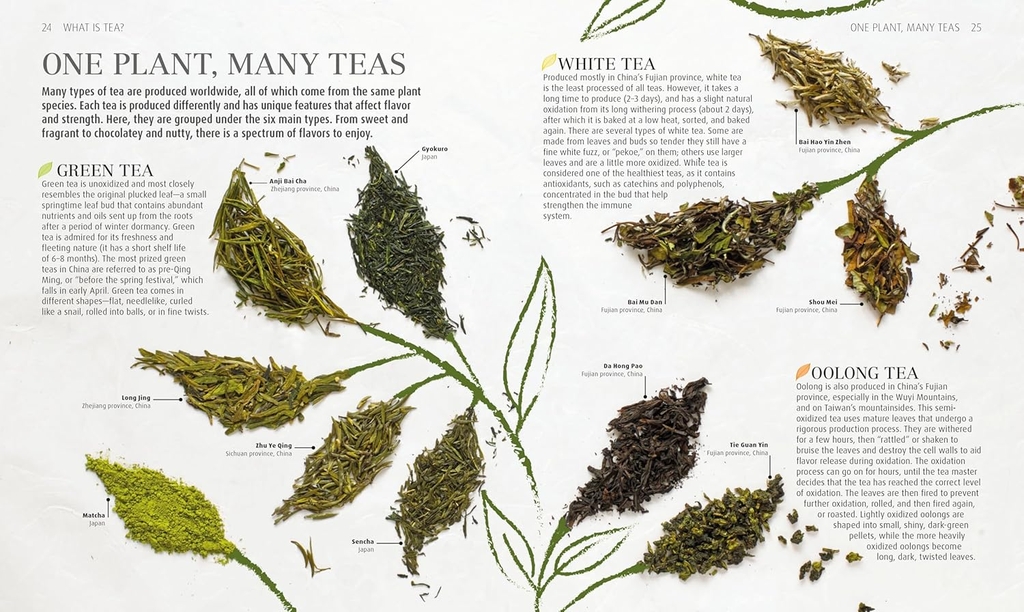 The Tea Book: Experience the World s Finest Teas, Qualities, Infusions, Rituals, Recipes