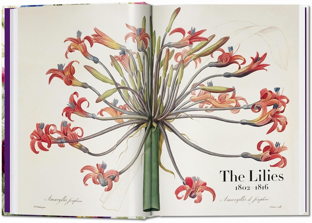 Redouté. The Book of Flowers. 45th Ed.