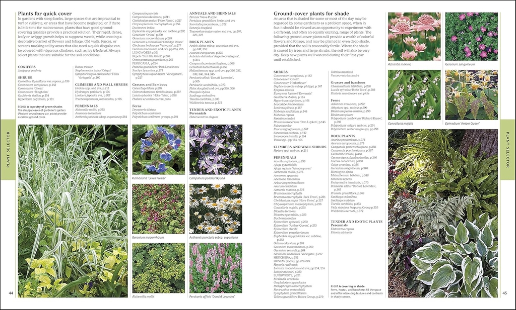 Encyclopedia of Plants and Flowers
