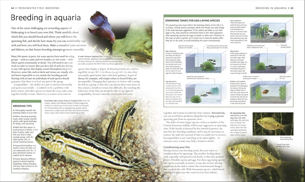Encyclopedia of Aquarium and Pond Fish