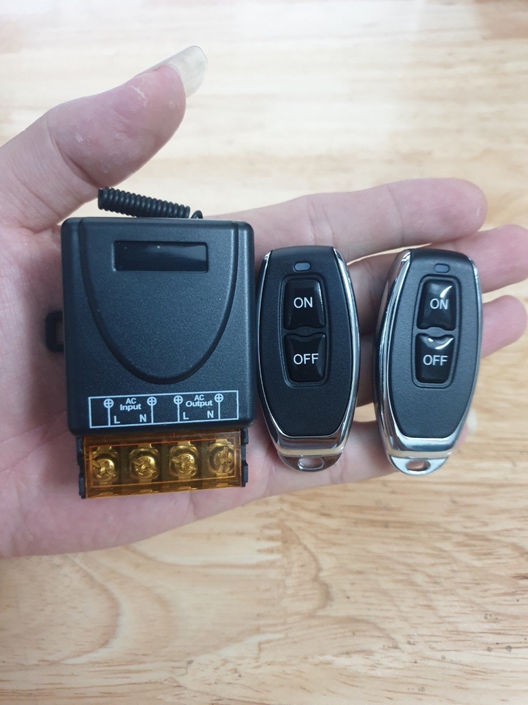 Bản sao của Bộ điều khiển từ xa 100M - 30A 2 tay khiển