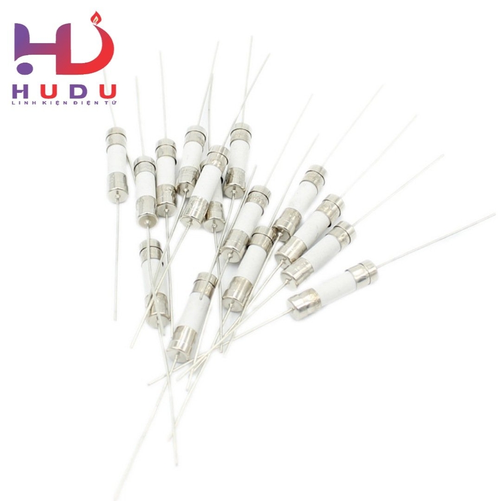 Cầu chì gốm [ sứ ] 10A chân hàn