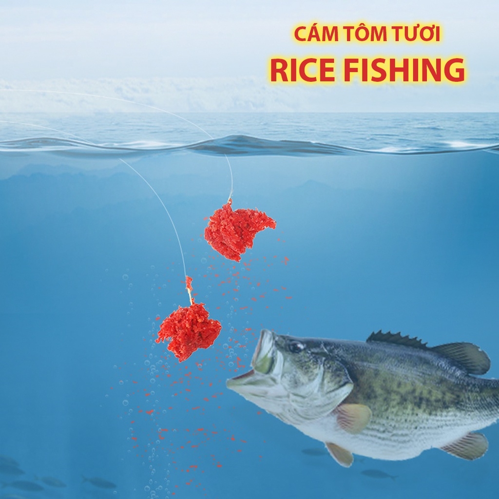 Mồi câu cá tôm tươi Rice Fishing MT-1