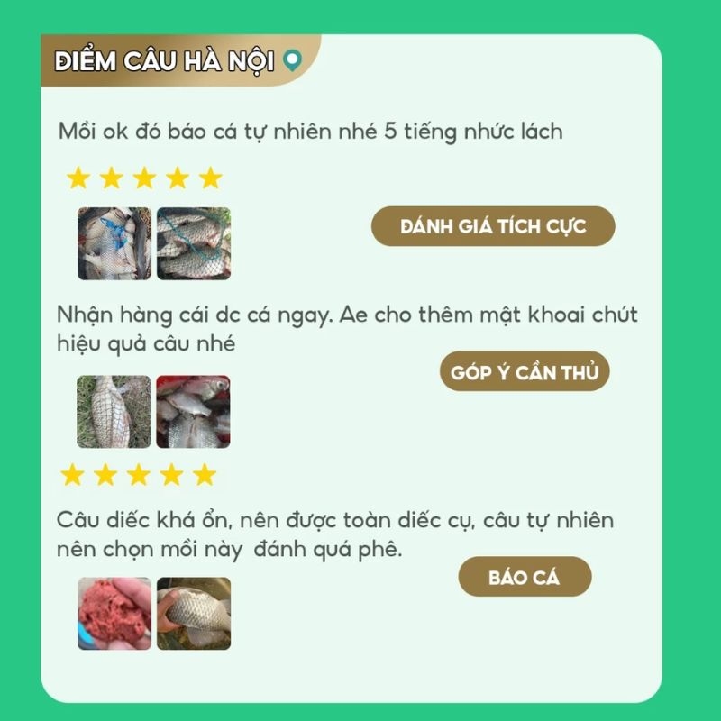 Mồi câu cá Toàn Năng MT-16 Rice Fishing 200g