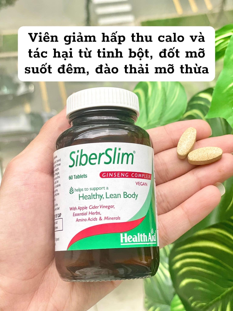 HealthAid Siberslim 60V