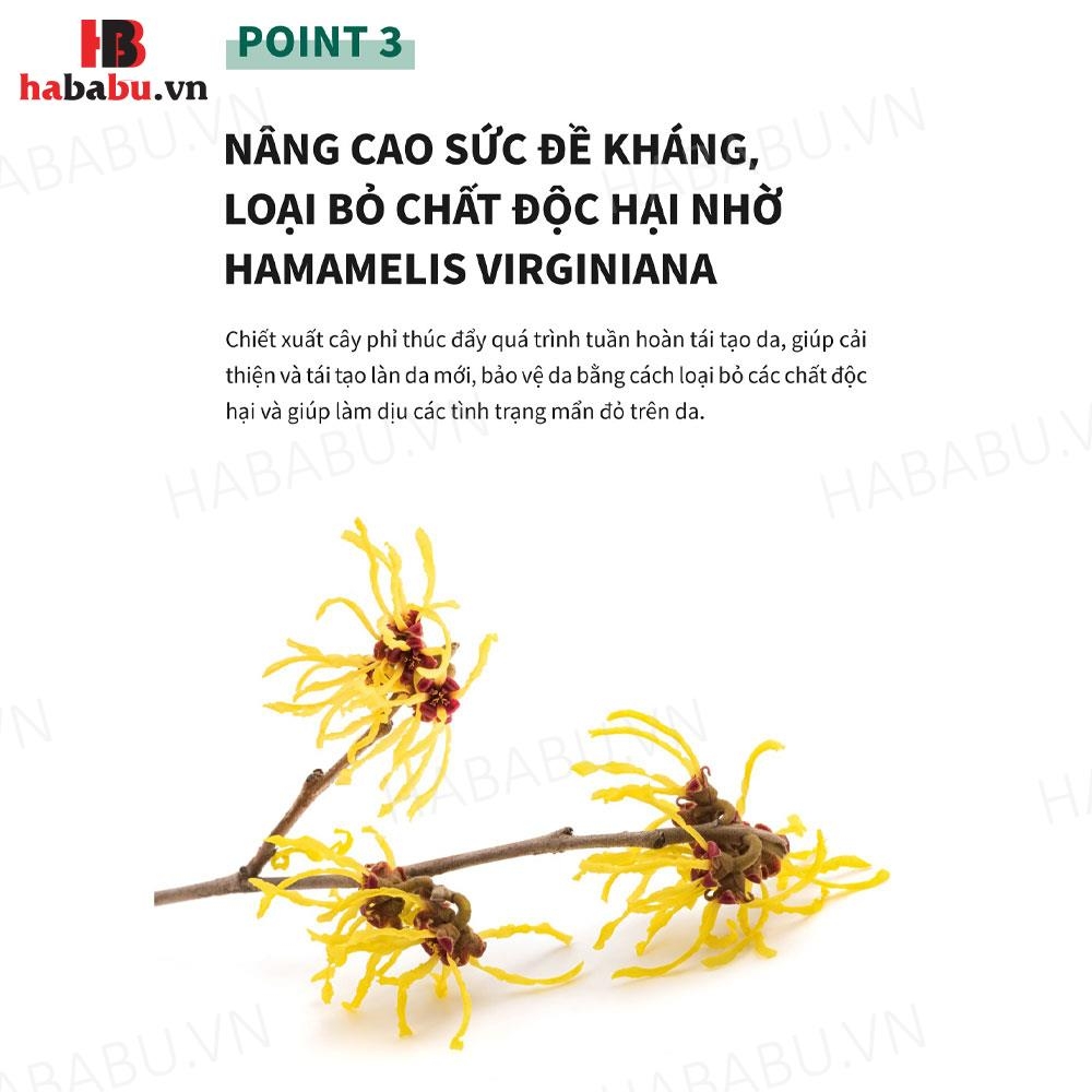 Kem dưỡng da Caryophy Skin Repair Cream 50ml chính hãng