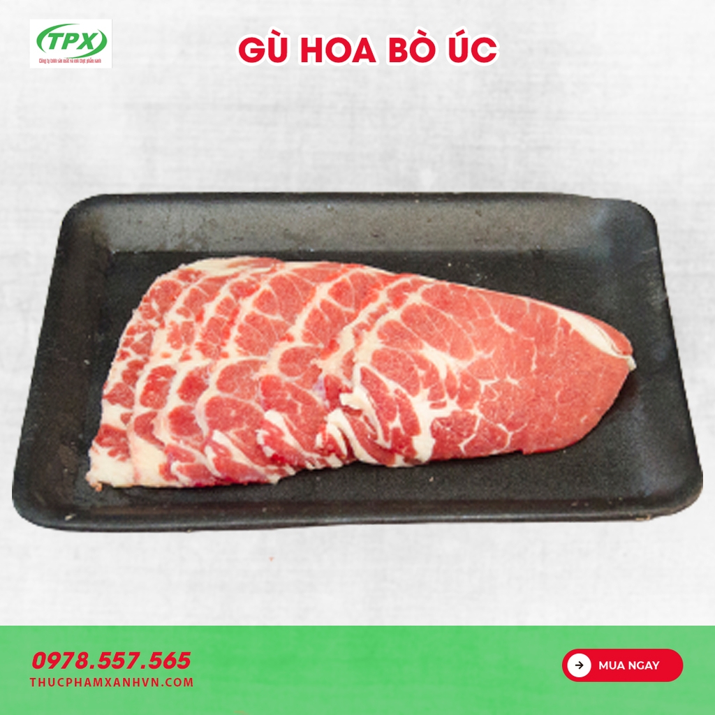 GÙ HOA BÒ ÚC KILCOY